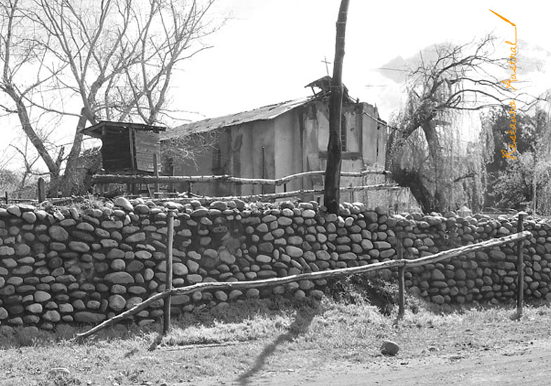 Lo Vicuña