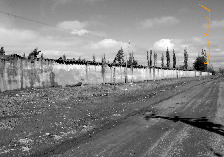 Lo Vicuña