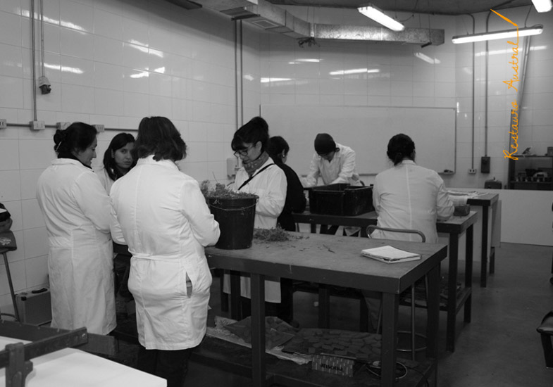 Talleres